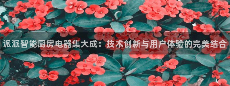 风暴娱乐去人l8888