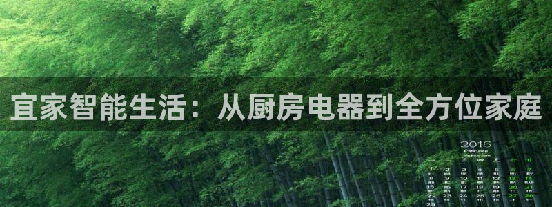 风暴娱乐网