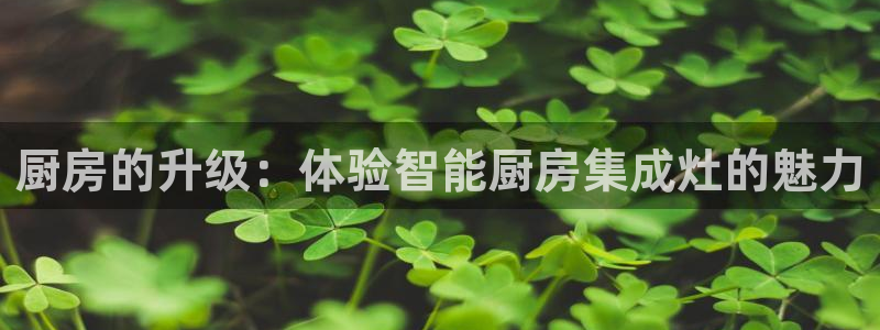 风暴娱乐平台地址