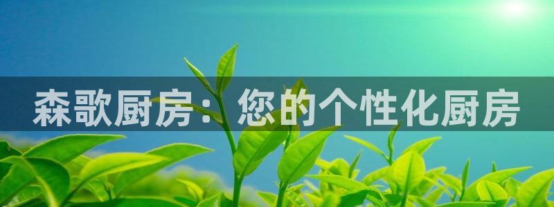 风暴娱乐提现