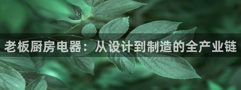 风暴娱乐平台地址