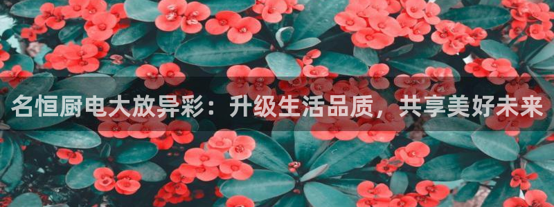 风暴娱乐下载地址