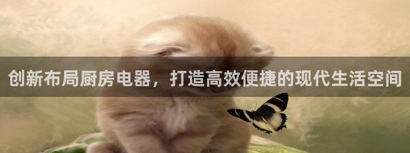 风暴娱乐求333OOa
