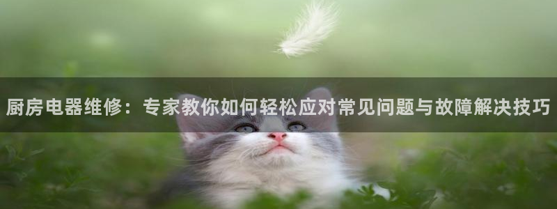 娱乐风暴二