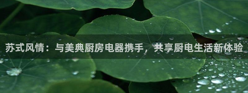 风暴娱乐测速