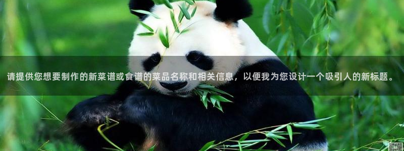 风暴娱乐老板