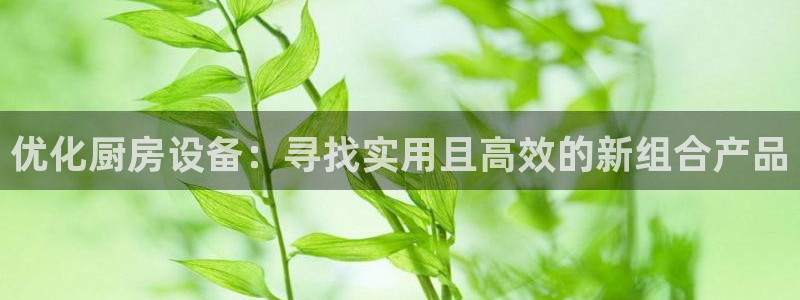 风暴新娱乐