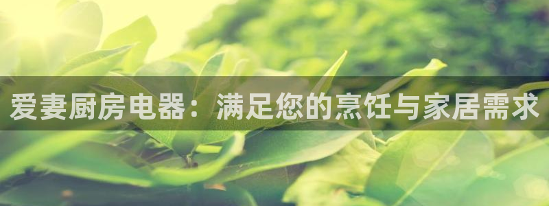 4120051风暴娱乐
