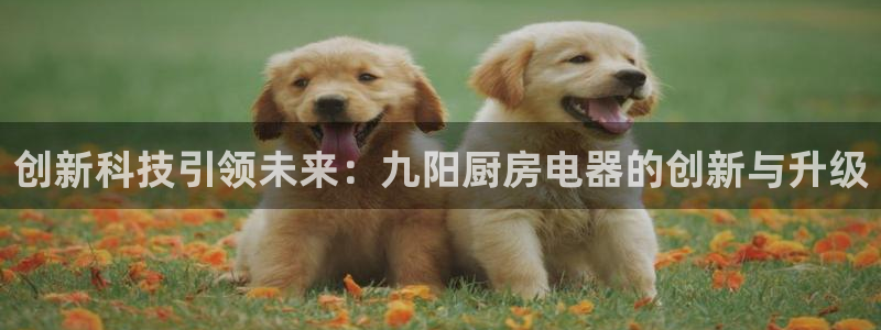 风暴娱乐40996