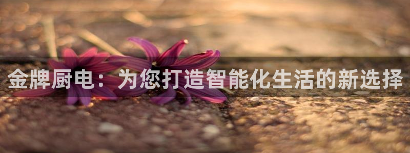 风暴娱乐