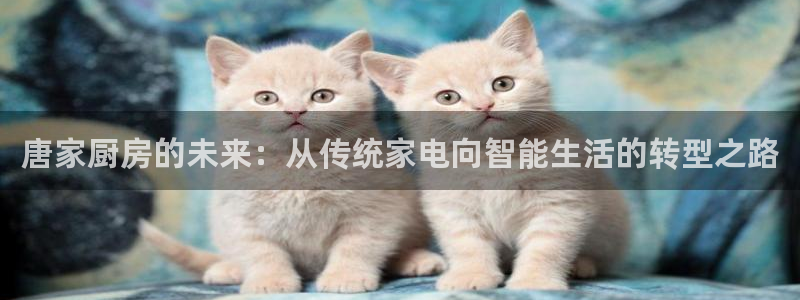 风暴眼娱乐