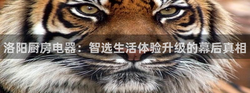 风暴大厅娱乐