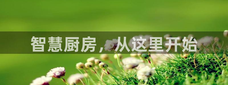 风暴娱乐下5指尖