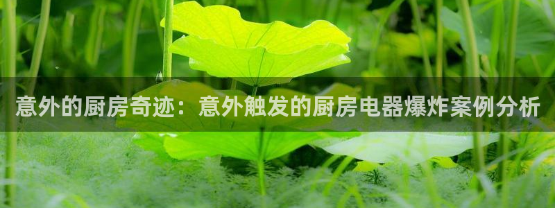 风暴娱乐园