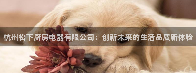 风暴娱乐提现