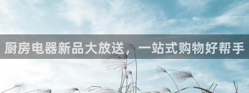 下载风暴娱乐