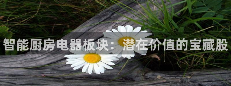 风暴娱乐官方网站