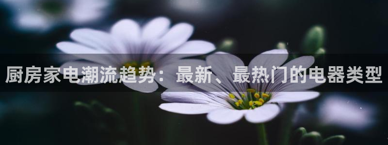 风暴娱乐自动挂