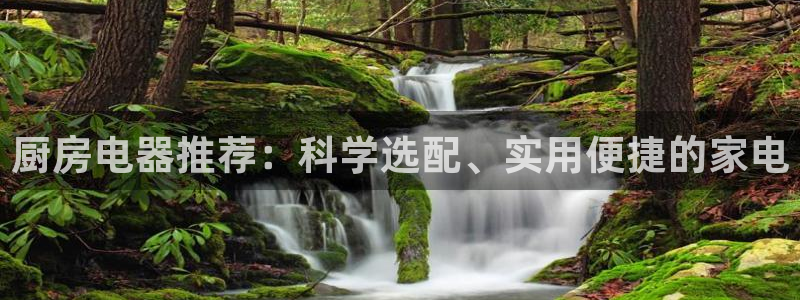 风暴娱乐右5指尖
