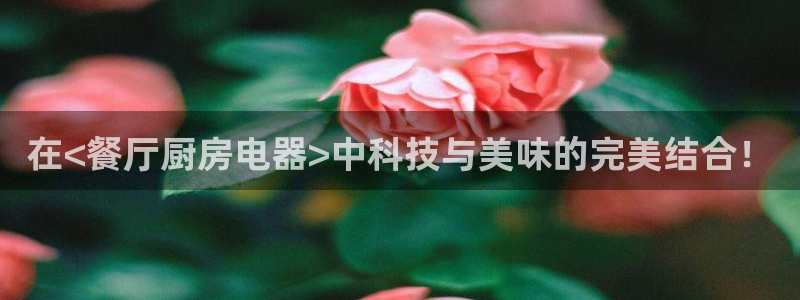 风暴娱乐提现