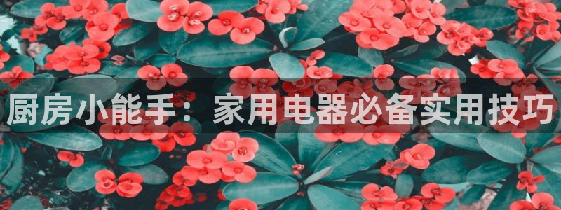 风暴娱乐眼