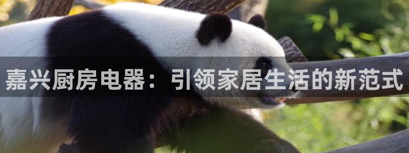 风暴娱乐拉菲8