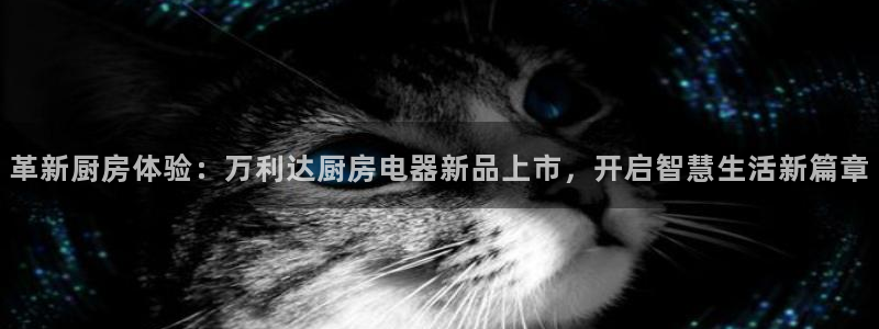 风暴娱乐部