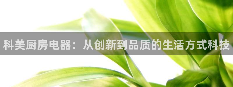 风暴娱乐官方网站
