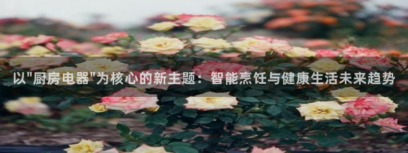 娱乐风暴二