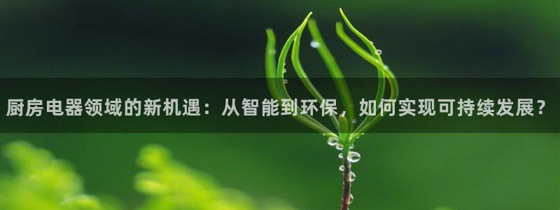 娱乐风暴开头