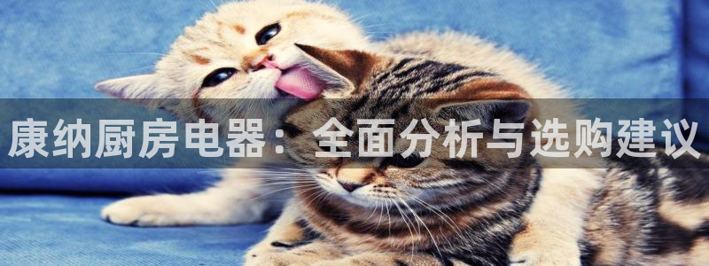风暴娱乐自动挂
