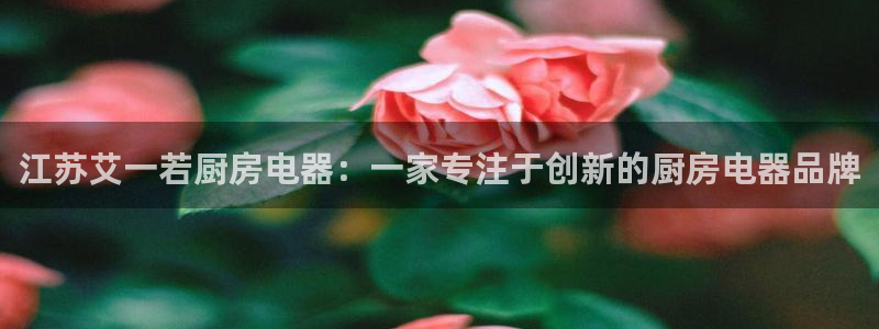 风暴娱乐平台官网登陆