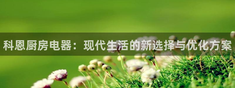 风暴新娱乐