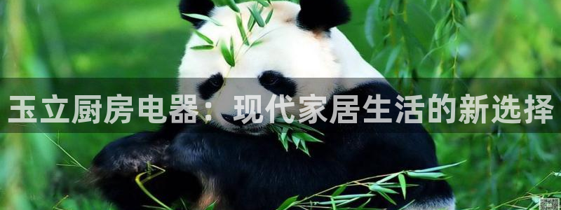风暴娱乐求333OOa