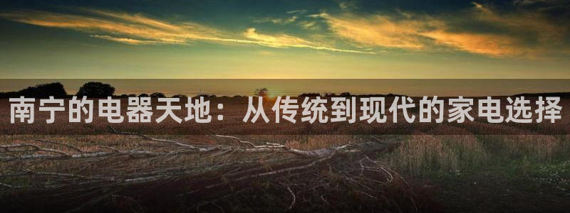 风暴娱乐部