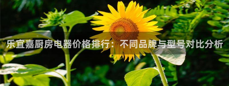 风暴娱乐园