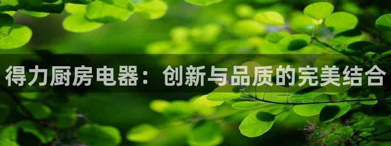 蓝色风暴娱乐