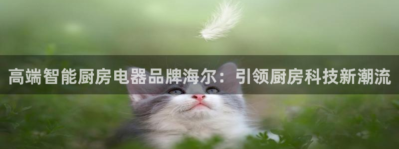 风暴娱乐平台官网登陆