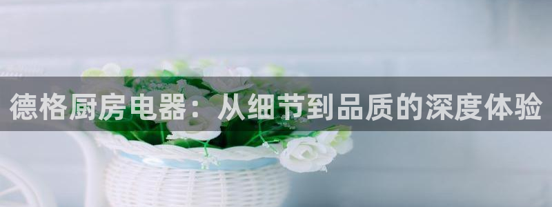 风暴娱乐园