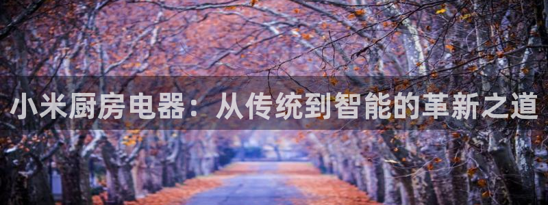 风暴数字娱乐