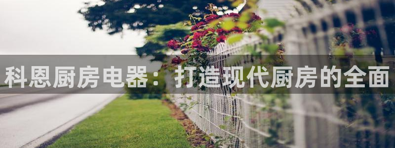 菲律宾风暴娱乐集团