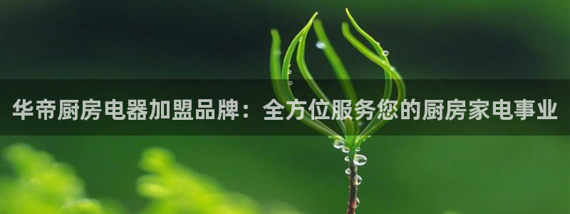 风暴娱乐线路