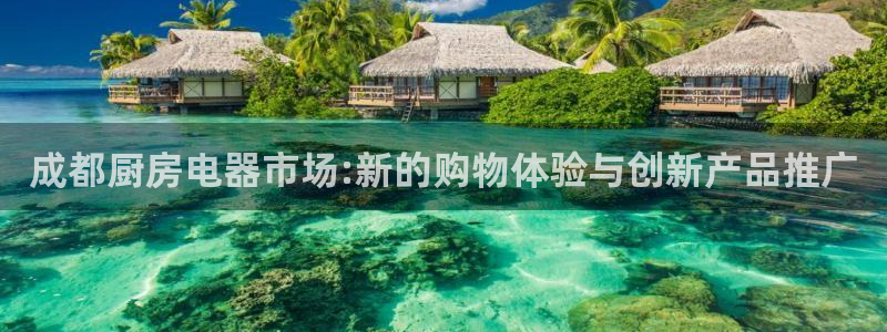 风暴娱乐老板