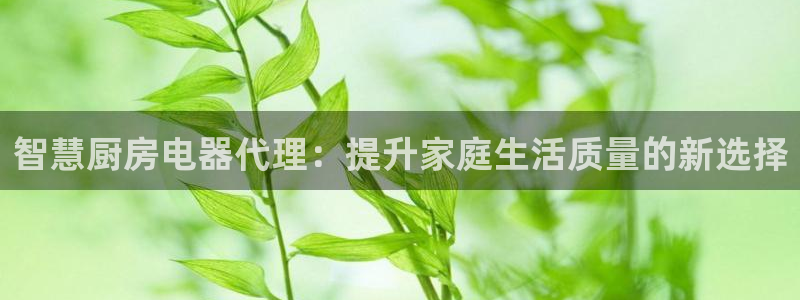 菲律宾风暴娱乐集团