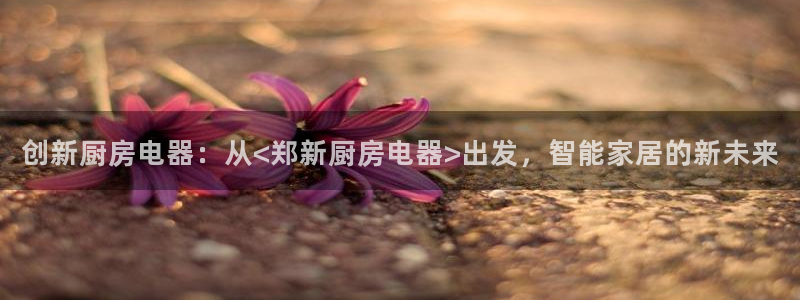 风暴娱乐主管是谁