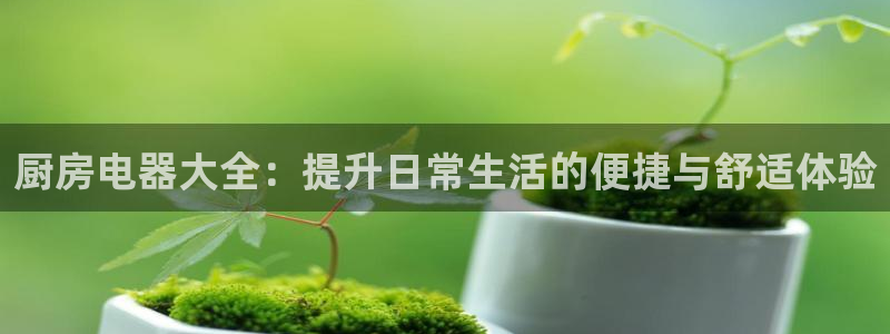 菲律宾风暴娱乐集团