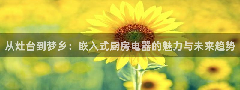 风暴娱乐右5指尖