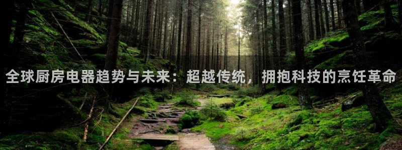 风暴娱乐主管是谁