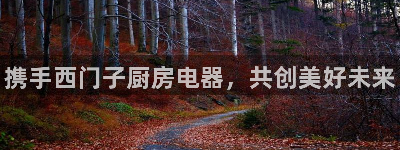 风暴娱乐下5指尖