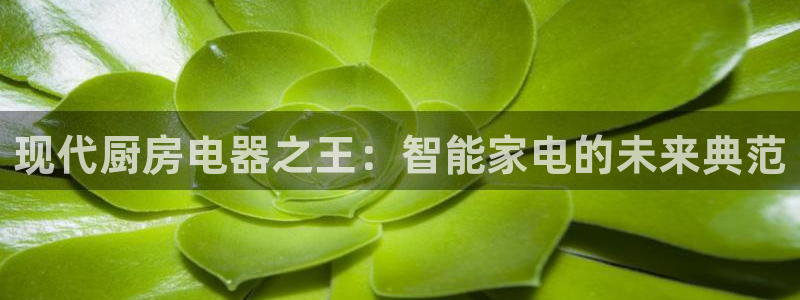 风暴新娱乐